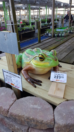 Home Improvement Store «Menards», reviews and photos, 2400 Marion-Mt Gilead Rd, Marion, OH 43302, USA