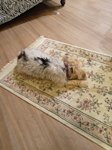 Home Improvement Store «The Home Depot», reviews and photos, 4900 SE 14th St, Des Moines, IA 50320, USA