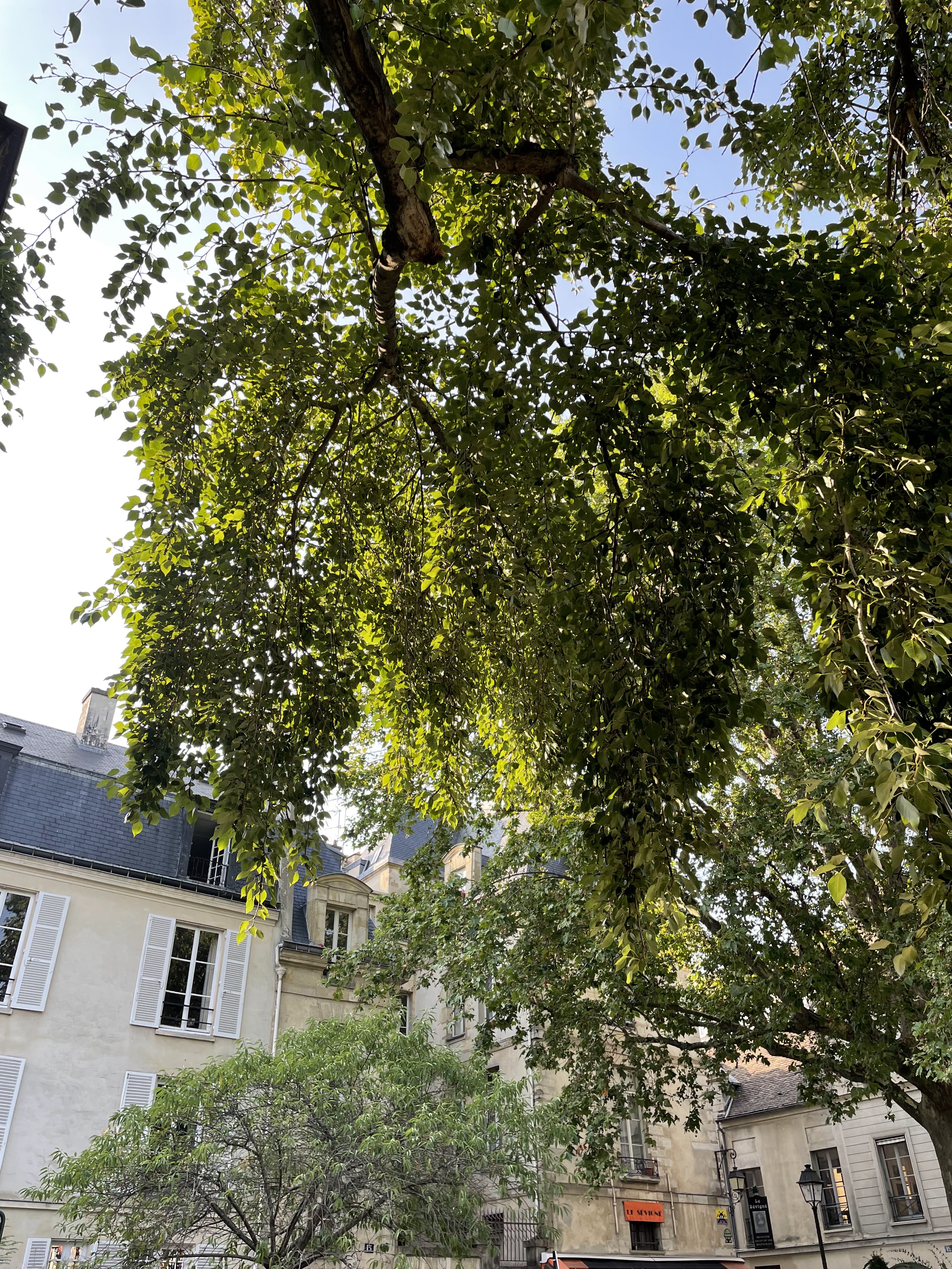 Photo n° 20 de l'avis de Leandre.e fait le 21/07/2021 à 17:03