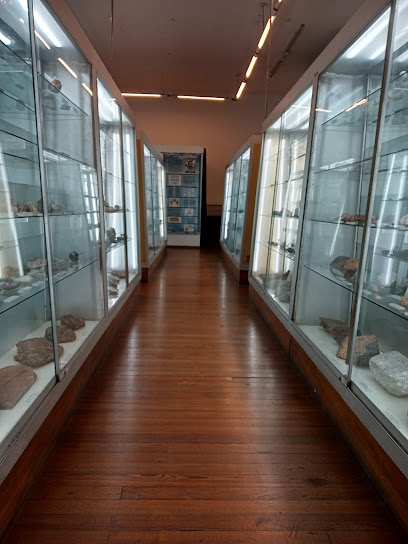 Museo de Mineralogía y Geología Dr. A. Stelzner
