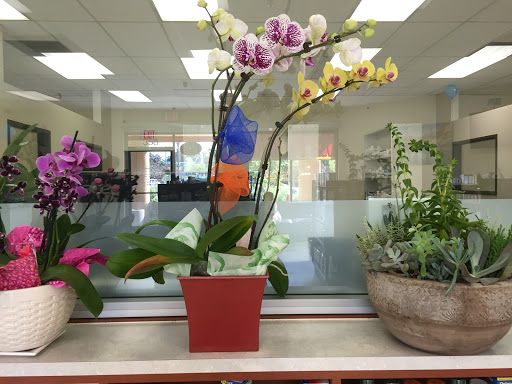 Pharmacy «Claremont Pharmacy», reviews and photos, 358 S Indian Hill Blvd, Claremont, CA 91711, USA