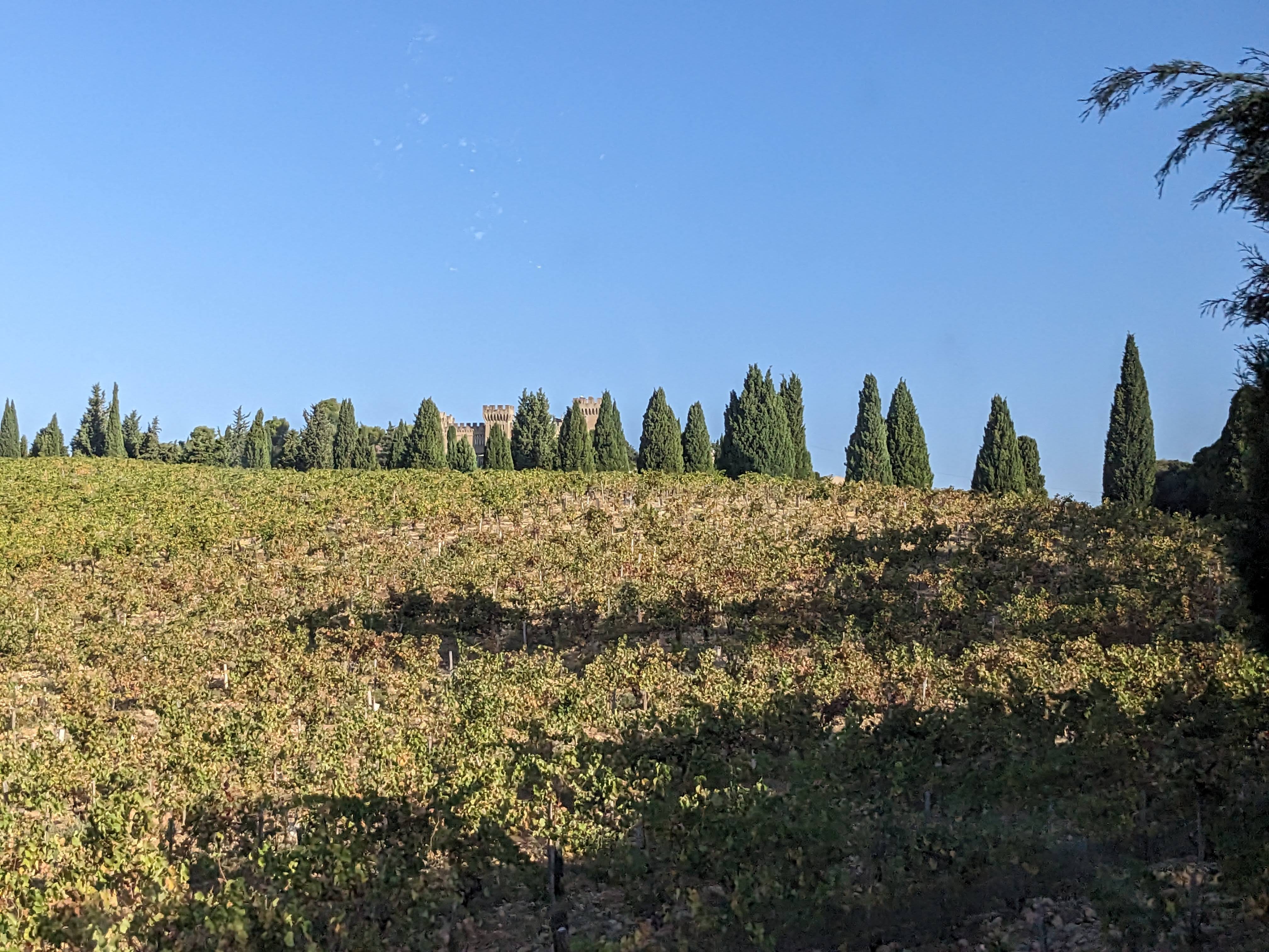 Photo n° 32 de l'avis de Terri.u fait le 10/11/2023 à 18:01