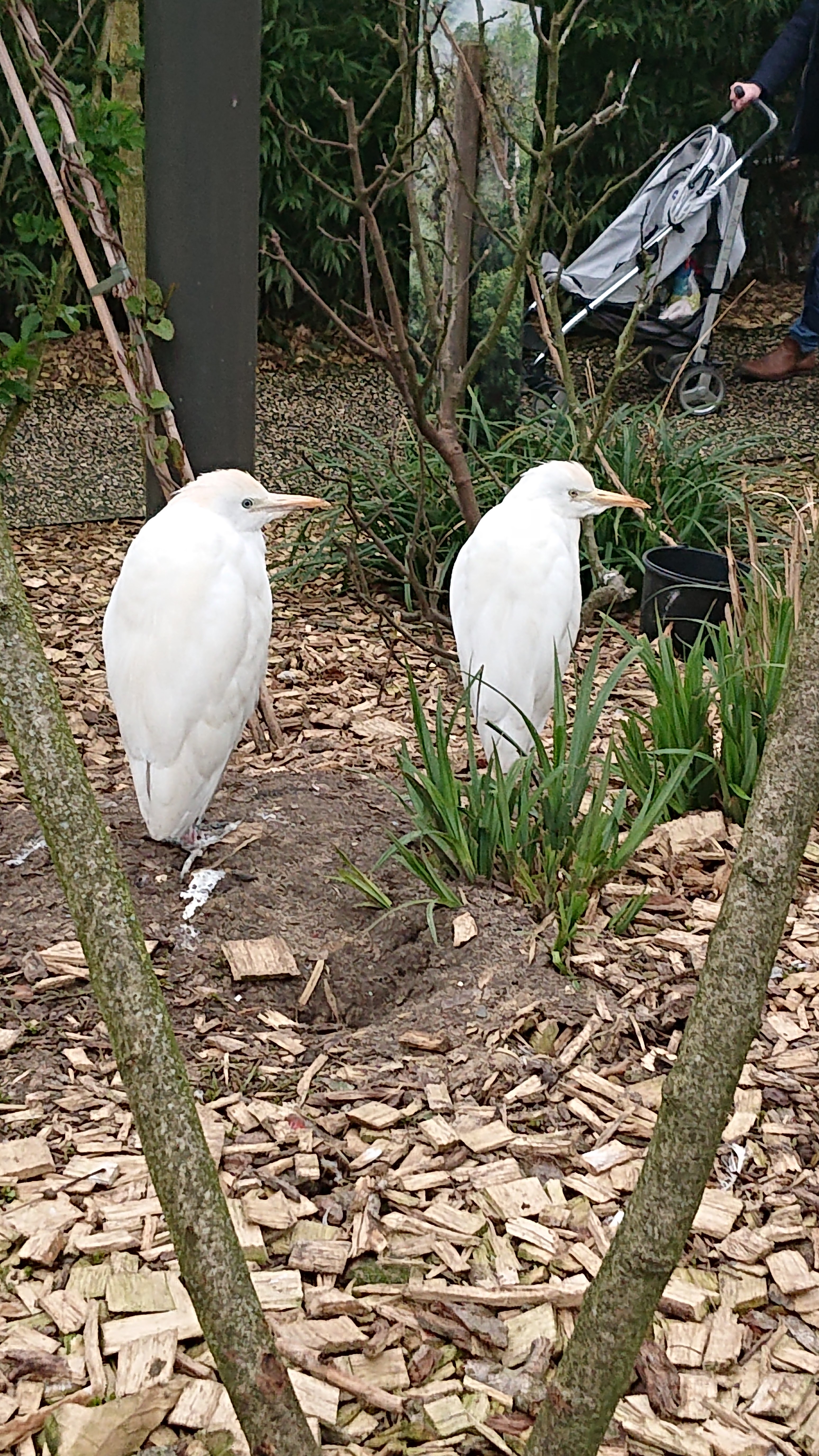 Photo n° 2 de l'avis de Otaries.a fait le 26/03/2019 à 09:02