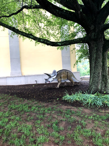 Museum «Delaware Museum of Natural History», reviews and photos, 4840 Kennett Pike, Wilmington, DE 19807, USA