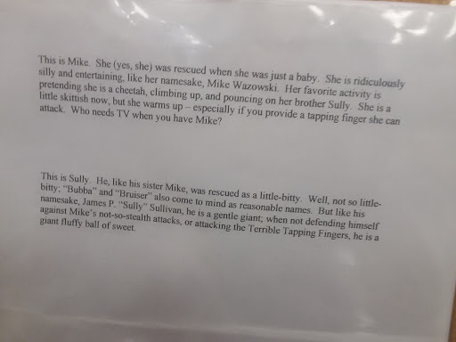 Pet Supply Store «Petco Animal Supplies», reviews and photos, 10060 US Highway 40 G-150, Ellicott City, MD 21042, USA