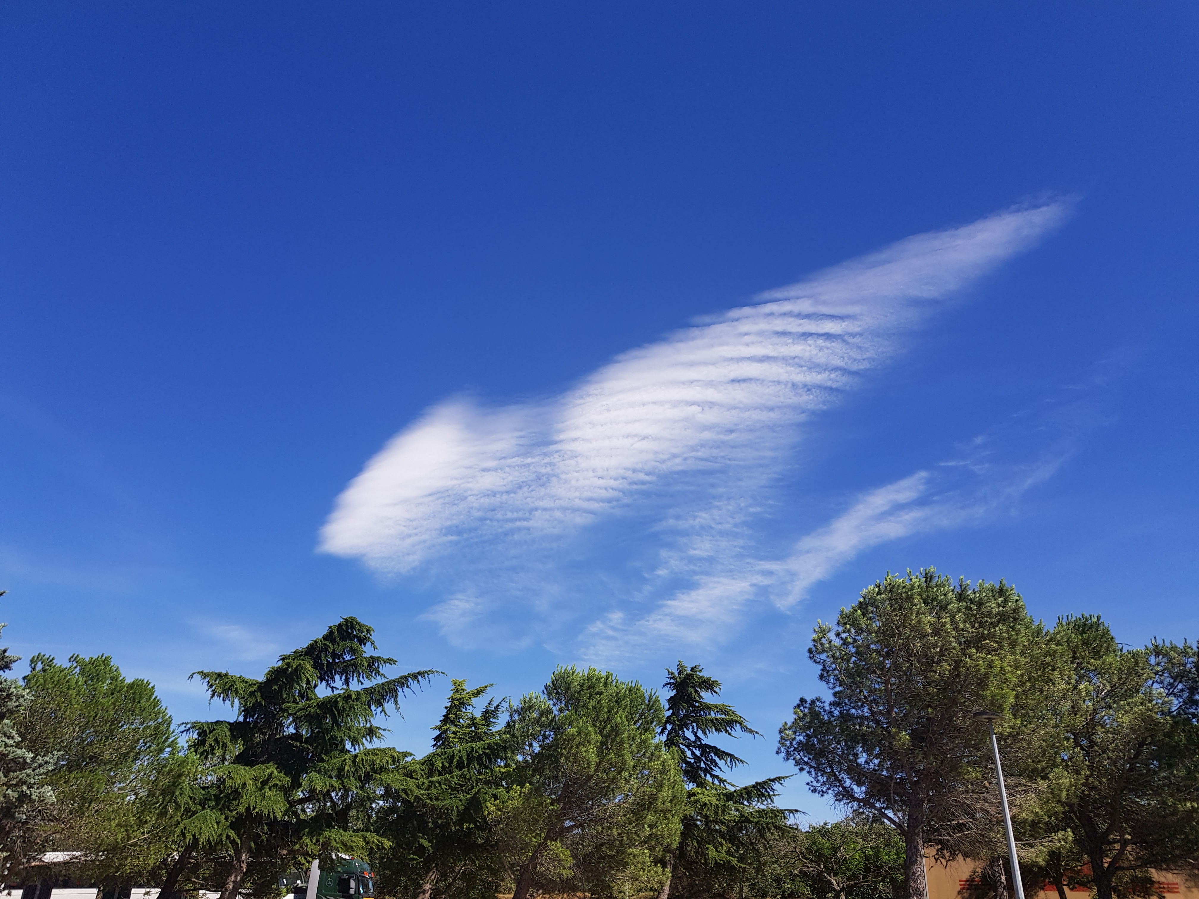 Photo n° 1 de l'avis de Andrea.. fait le 23/01/2019 à 07:01