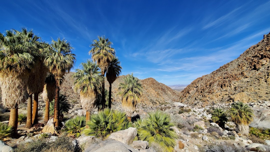 Fortynine Palms Oasis Trail