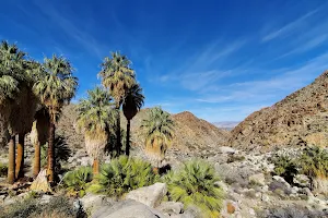 Fortynine Palms Oasis image