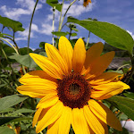 Photo n°1 de l'avis de Bruna.i fait le 16/08/2020 à 19:18 sur le  Kircherhof à Brixen