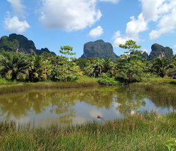 Wang Than Thip Park photo