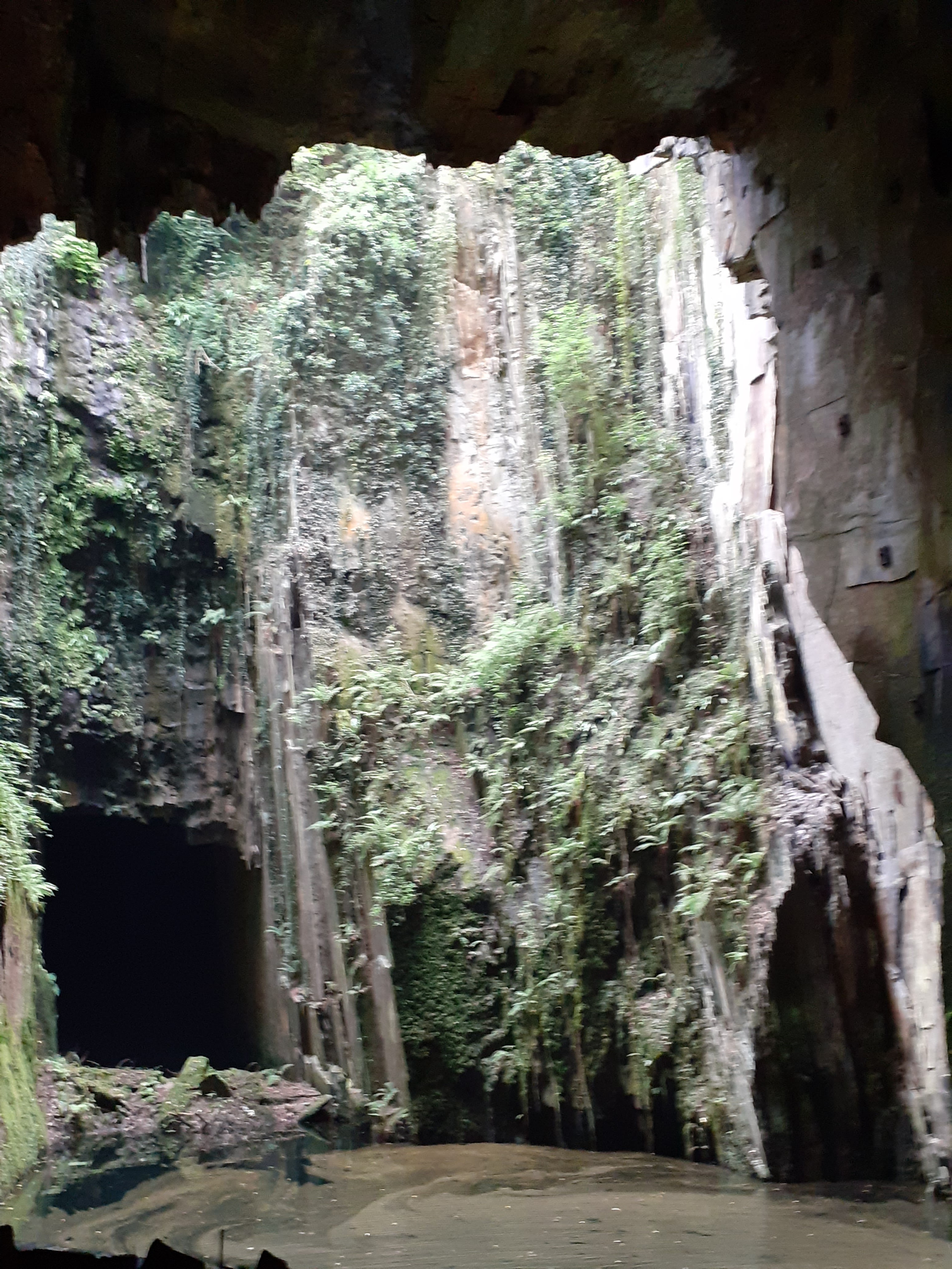 Photo n° 4 de l'avis de Magali.e fait le 08/07/2020 à 14:53