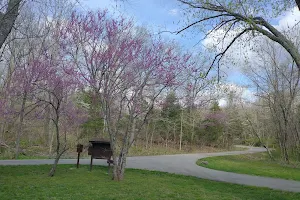 Lane Spring Recreation Area image