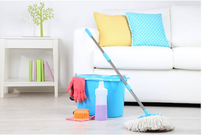 Cleaning to Shine, LLC