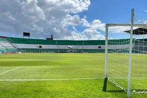 Estadio Ramon Tahuichi image