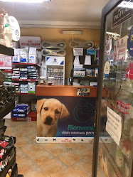 Clinica Veterinaria Providencia