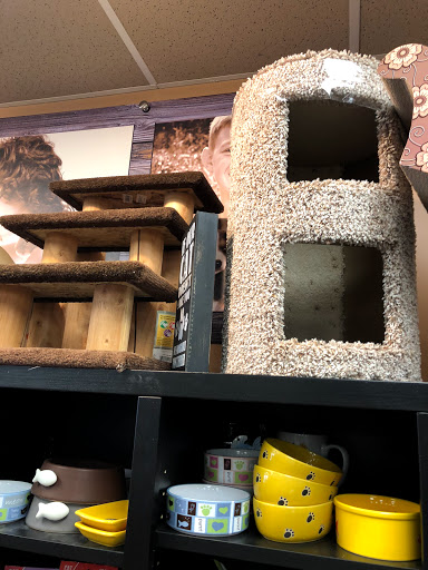 Pet Store «Pet Valu», reviews and photos, 1061 W Main St #12, Branford, CT 06405, USA