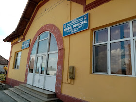 Muzeu Municipal Fetești