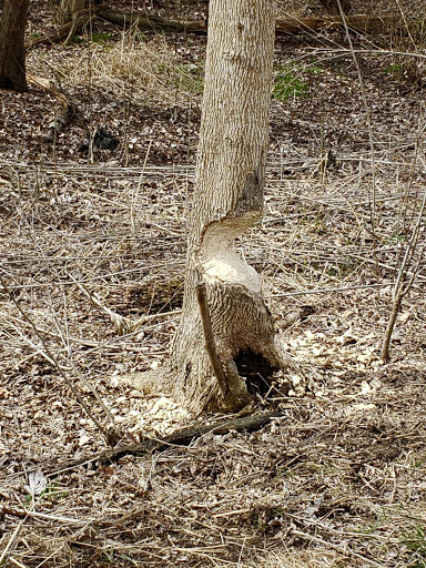 Tourist Attraction «St. Helena Heritage Park», reviews and photos, 123 Tuscarawas St NW, Canal Fulton, OH 44614, USA