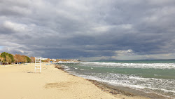 Sarkoy beach II'in fotoğrafı kısmen tatil bölgesi