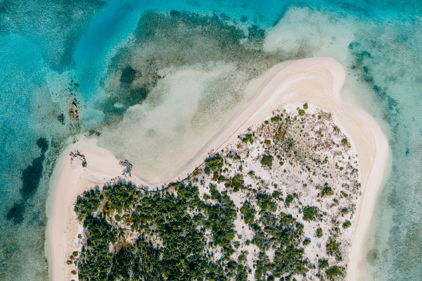 Bonefish Point beach'in fotoğrafı doğal alan içinde bulunmaktadır