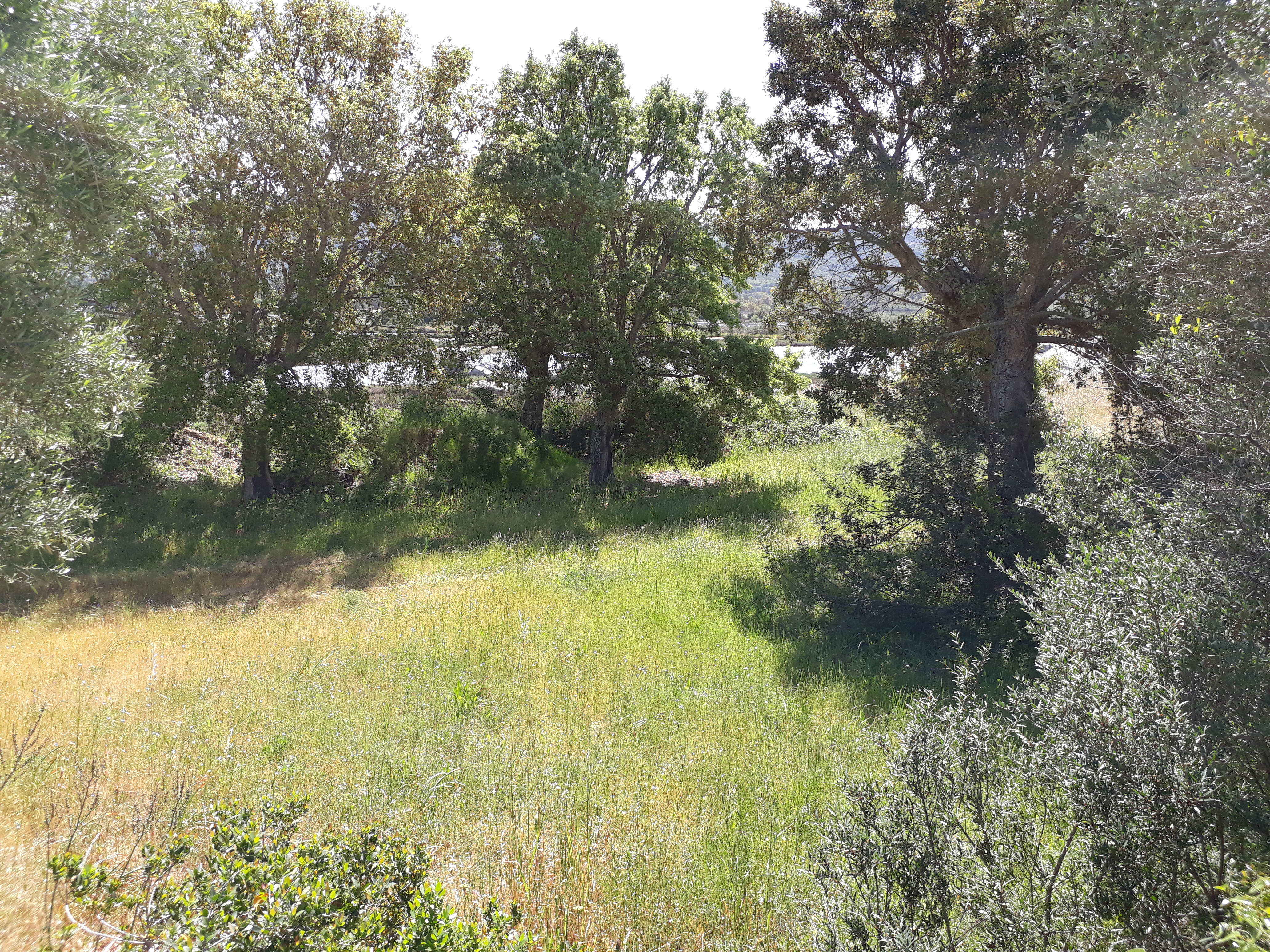 Photo n° 2 de l'avis de Pascal. fait le 28/04/2017 à 11:29