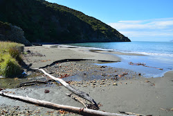 Photo de Whites Bay zone sauvage