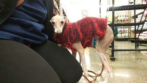 Pet Supply Store «Pet Supplies Plus», reviews and photos, 955 Co Rd E East #100, Vadnais Heights, MN 55127, USA