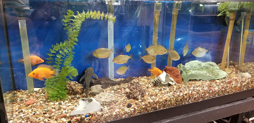 Tropical Fish Store «Two Turtles Pet Center», reviews and photos, 760 W Market St, Akron, OH 44303, USA
