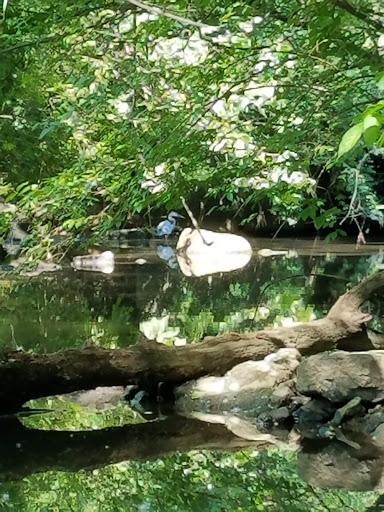 Park «A.B. Sawyer Park», reviews and photos, 9300 Whipps Mill Rd, Louisville, KY 40242, USA