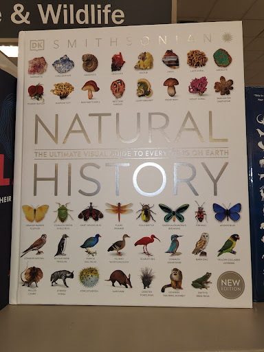 Book Store «Barnes & Noble», reviews and photos, 210 Andover St, Peabody, MA 01960, USA