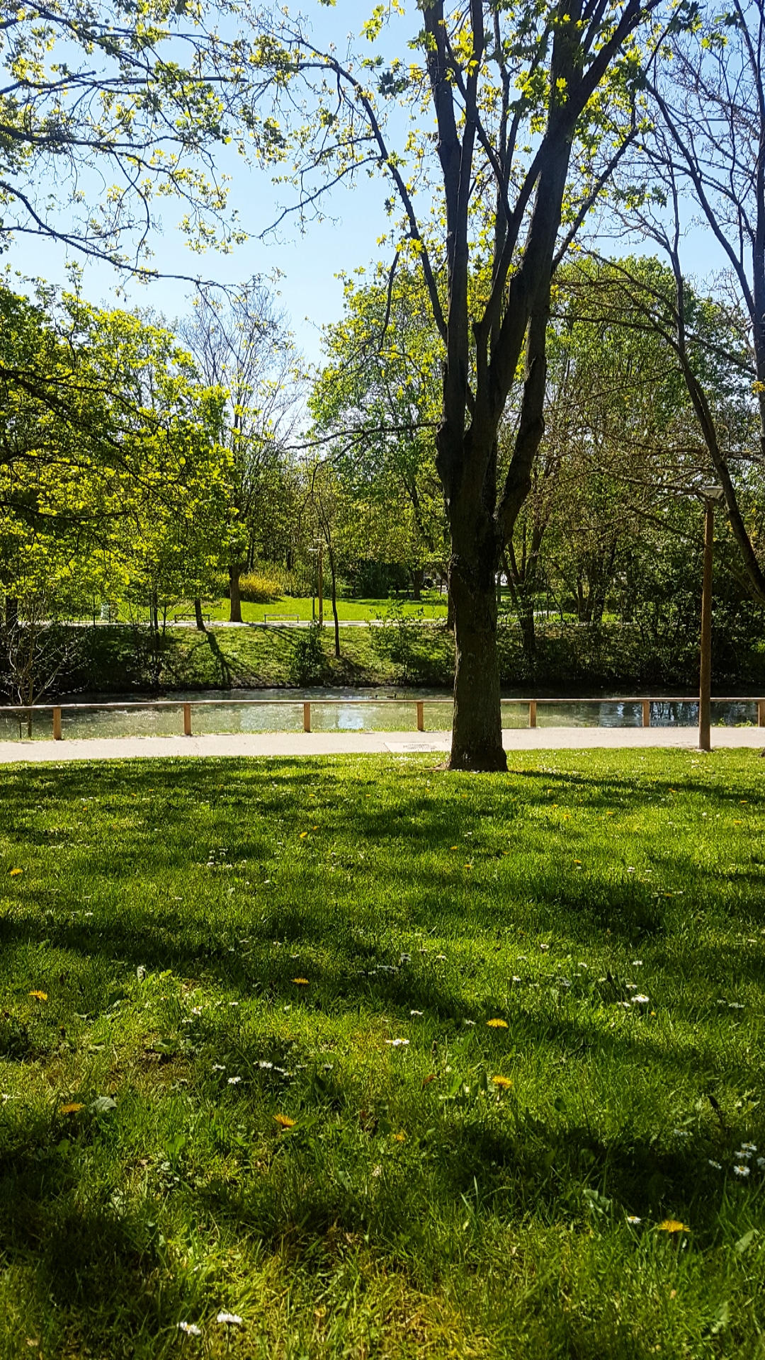 Photo n° 1 de l'avis de Brihaye.v fait le 26/04/2019 à 21:06