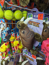 Ollie's Bargain Outlet - Photo 6 - Car repair in Iowa City, IA, Iowa City