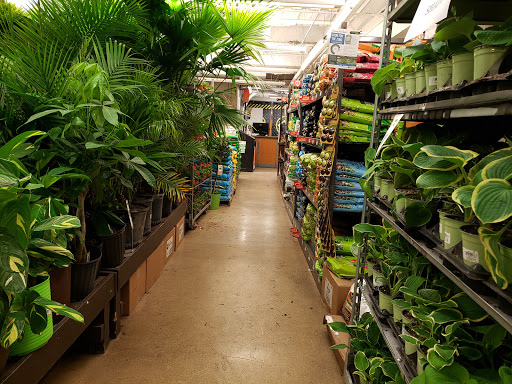 Garden Center At The Home Depot New York City 1 212 888 1512