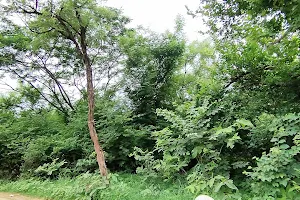 Mundeshwari Park Ramgarh image