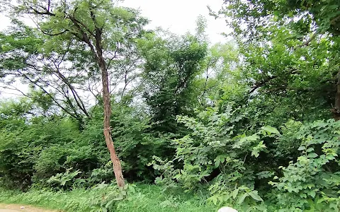 Mundeshwari Park Ramgarh image