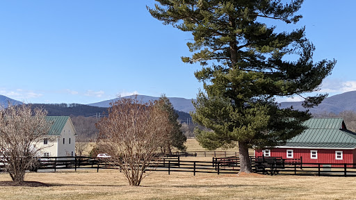 Ranch «The Marriott Ranch Bed and Breakfast», reviews and photos, 5305 Marriott Ln, Hume, VA 22639, USA