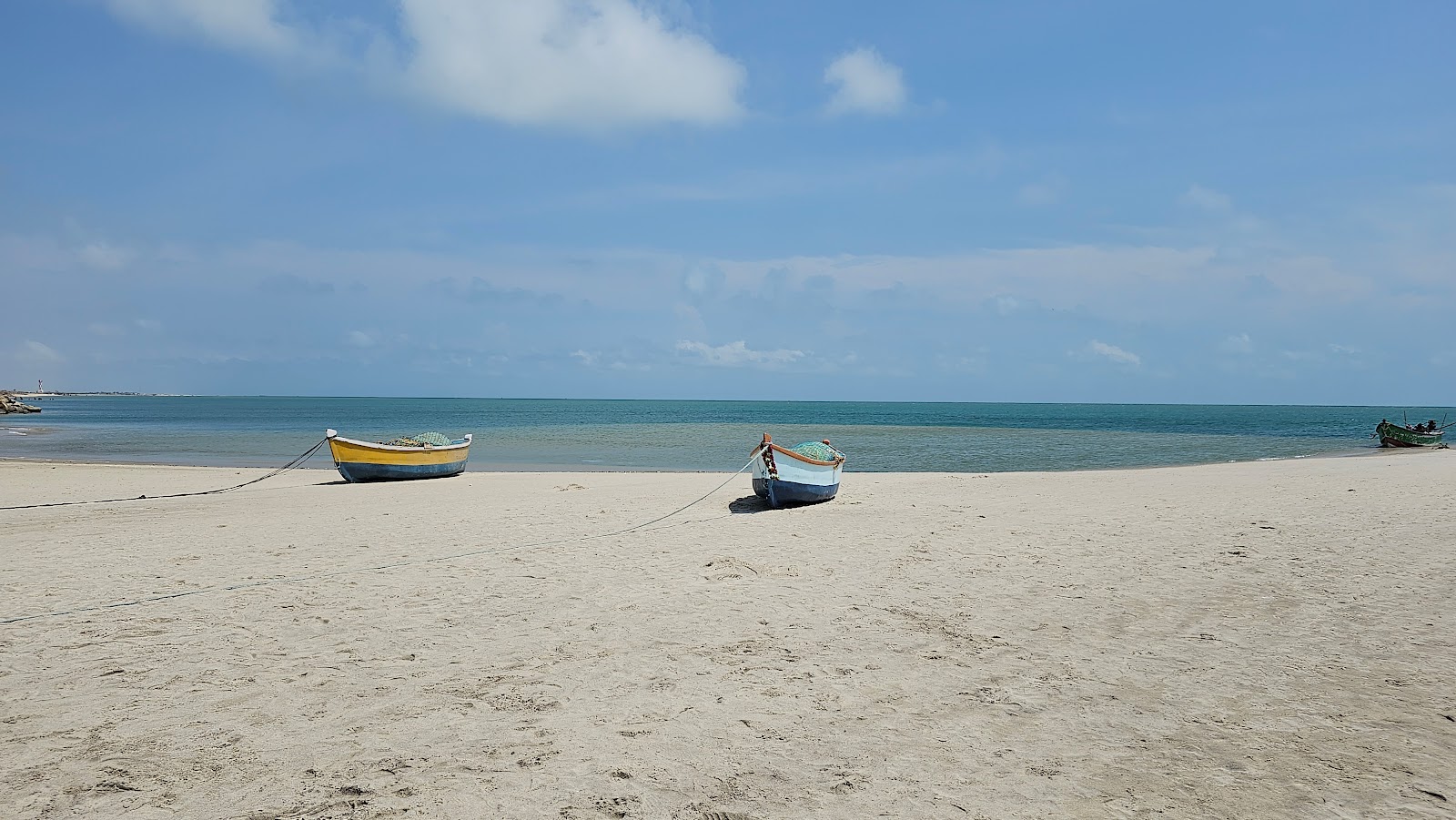 Arichal Munai Beach photo #6