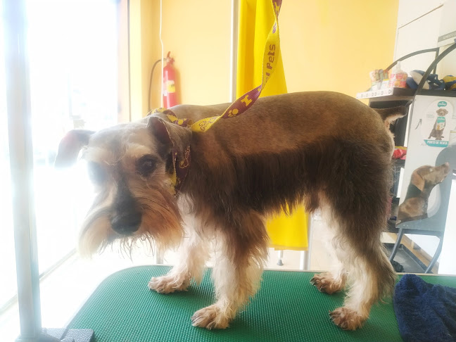 Opinii despre Veterinaria Maranatha 2 în Guayaquil - Veterinario