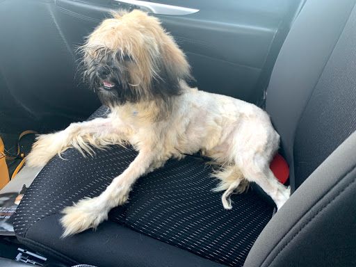 Pet Supply Store «PetSmart», reviews and photos, 6204 W Park Blvd, Plano, TX 75093, USA