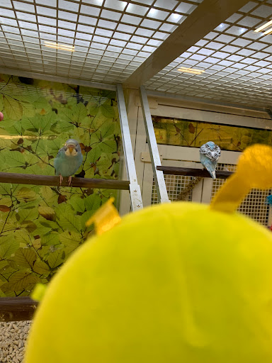 Pet Supply Store «PetSmart», reviews and photos, 2017 N Prospect Ave, Champaign, IL 61822, USA