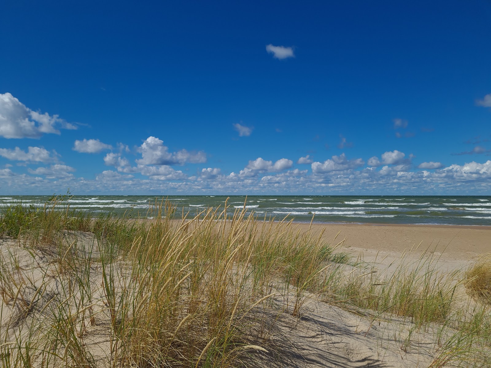 Fotografija Mazirbes Dzelmes z svetel pesek površino