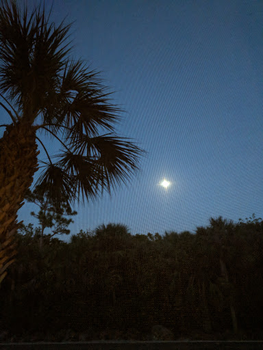 Golf Club «Crown Colony Golf and Country Club», reviews and photos, 8851 Crown Colony Blvd, Fort Myers, FL 33908, USA