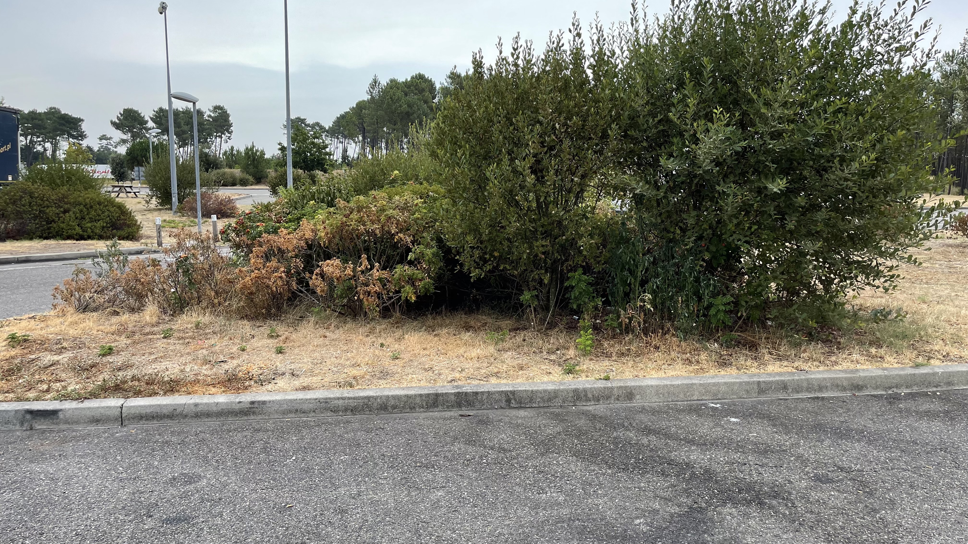 Photo n° 8 de l'avis de I.u fait le 14/08/2022 à 20:19