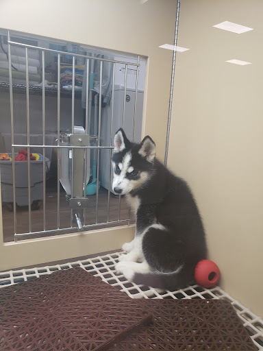 Pet Store «Petland», reviews and photos, 5470 Dixie Hwy, Fairfield, OH 45014, USA