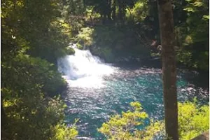 Parque Ojos del Caburgua image