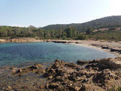 Becchi Beach'in fotoğrafı birden fazla geniş koy ile birlikte