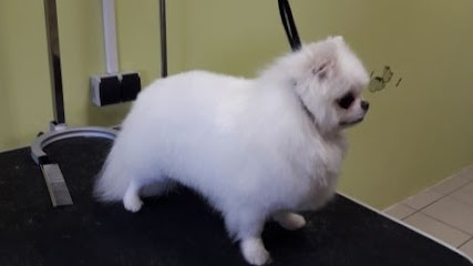 Grooming Salon "HappyDog"