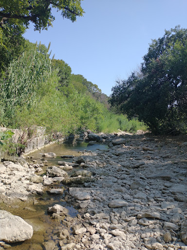 Art Museum «Blanton Museum of Art», reviews and photos, 200 E Martin Luther King Jr Blvd, Austin, TX 78701, USA