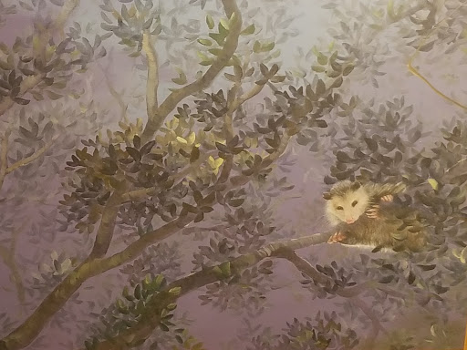 Nature Preserve «Crystal Springs Preserve», reviews and photos, 1609 Crystal Springs Rd, Crystal Springs, FL 33524, USA