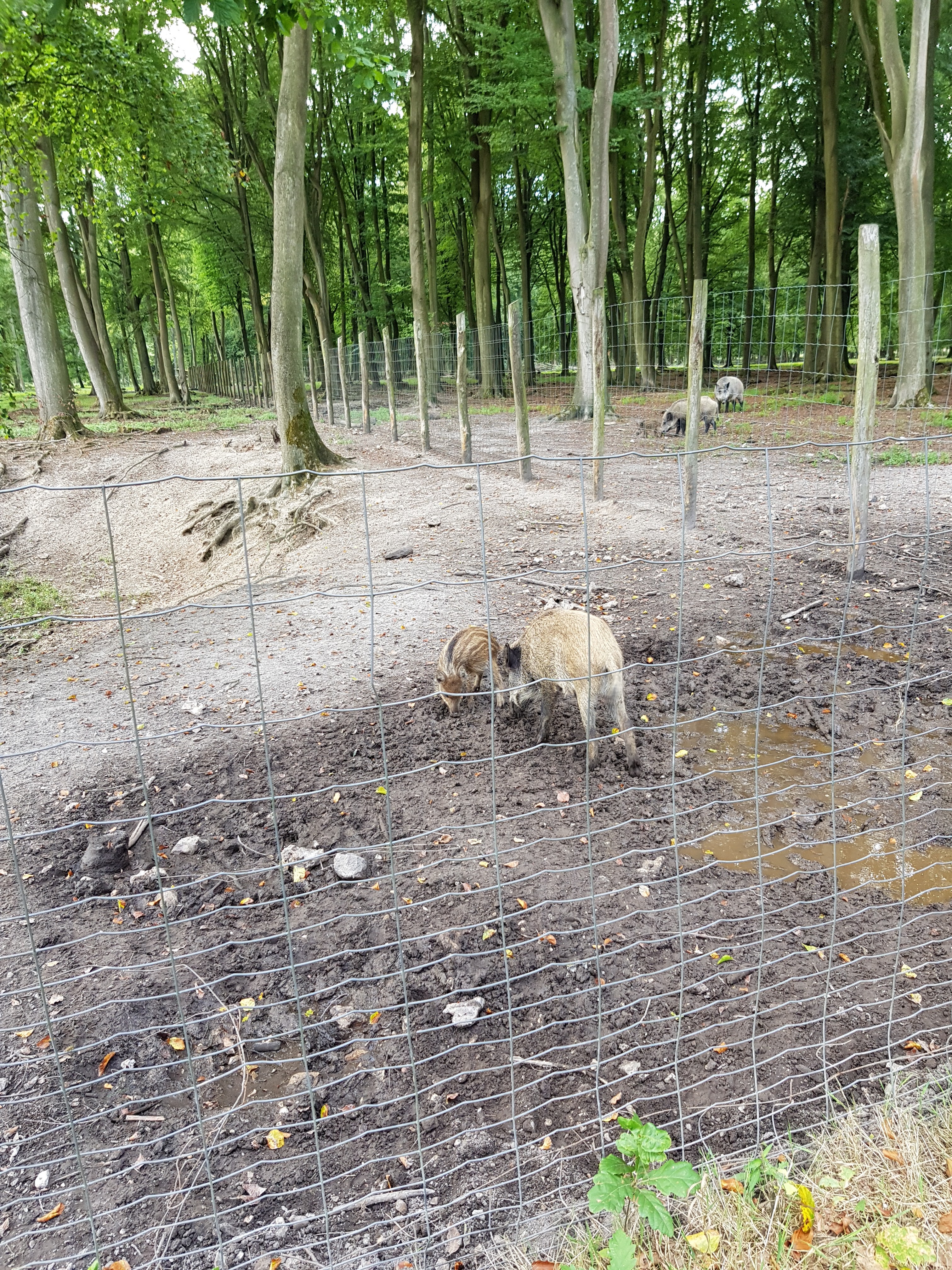 Photo n° 5 de l'avis de Martine.R fait le 21/08/2018 à 17:38